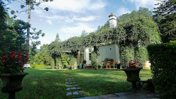 A garden with a pathway leading to a building with a tower.