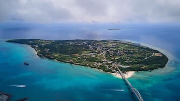 靠近海滩、白沙