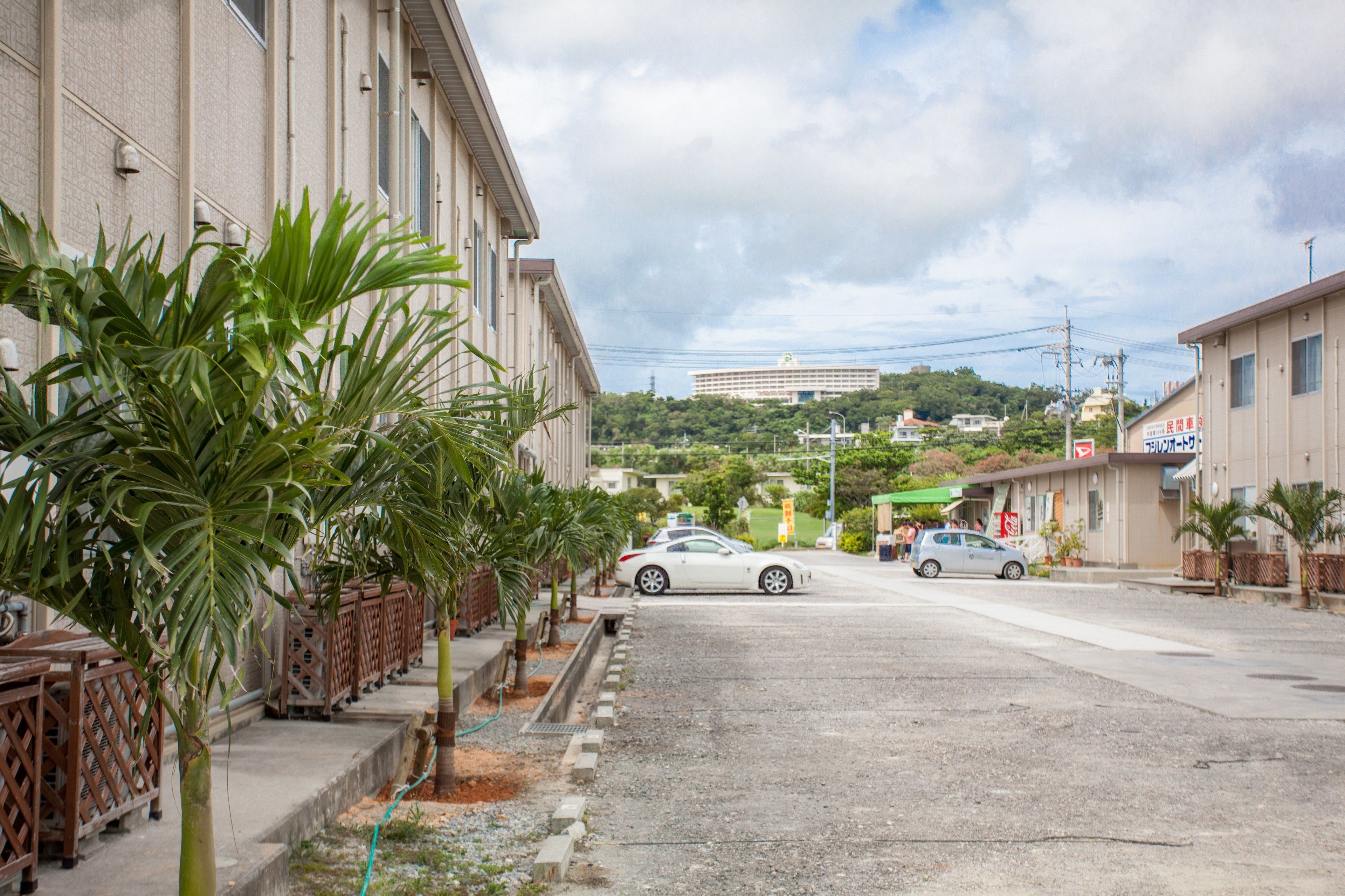 A street with buildings, cars, and palm trees.