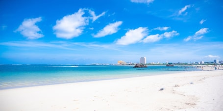 Point of interest. Hotel Southern Village Okinawa