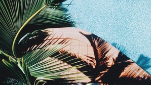 Una piscina con agua azul cristalina, rodeada por un borde de azulejos y hojas de palmera.