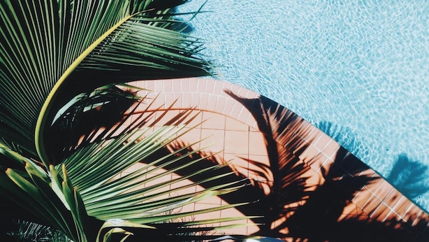 Une piscine à l’eau d’un bleu cristallin, bordée de carreaux et entourée de palmiers.