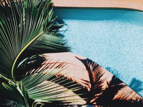 Outdoor pool, open 7:00 AM to 7:00 PM, pool loungers