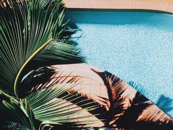 Outdoor pool, open 7:00 AM to 7:00 PM, sun loungers - Childers Oasis Motel (Childers)