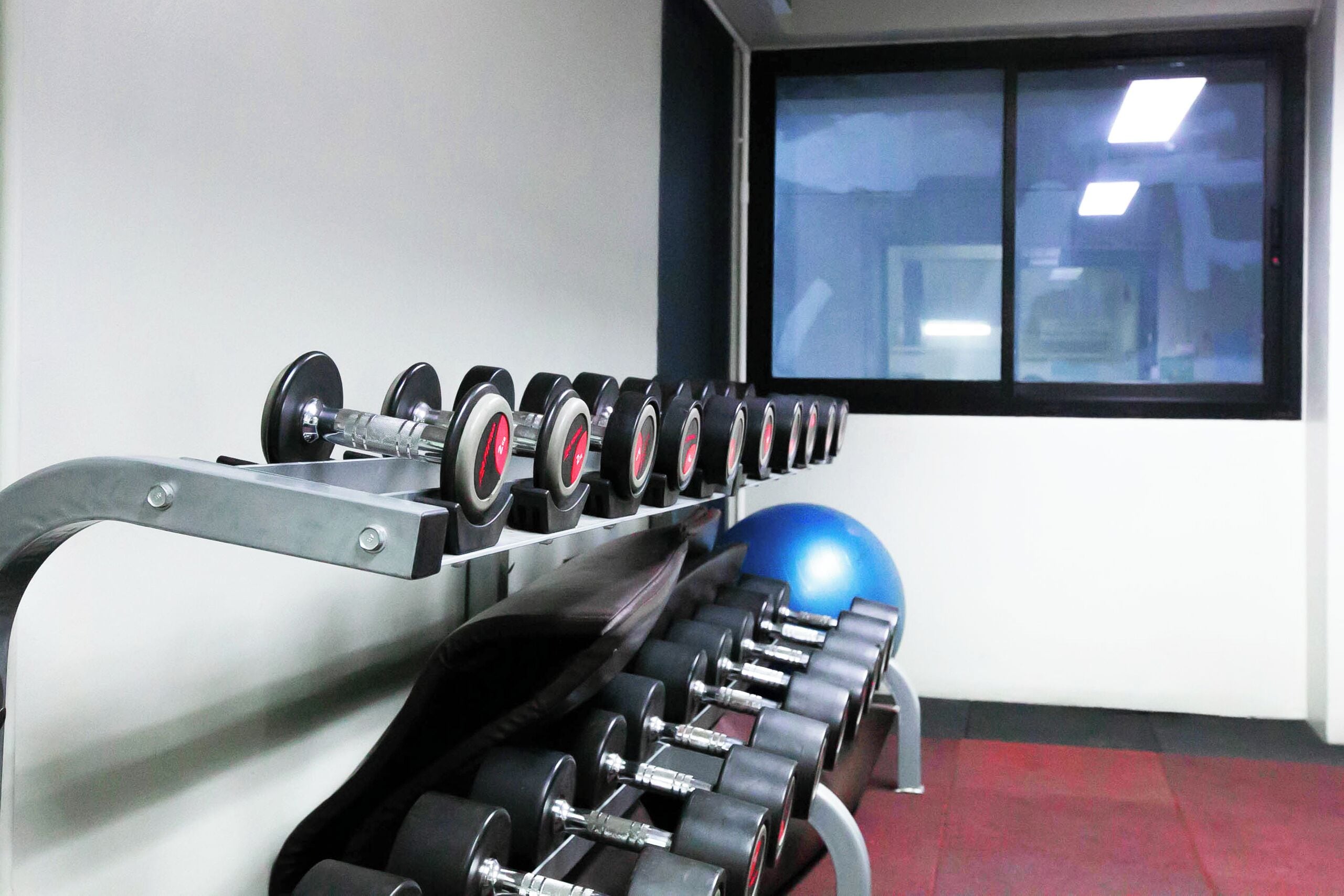 Una hilera de mancuernas en un soporte en un gimnasio, con una pelota de ejercicios azul y una ventana al fondo.