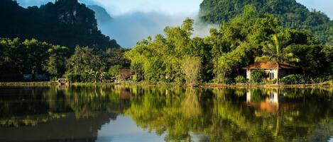 Land view from property