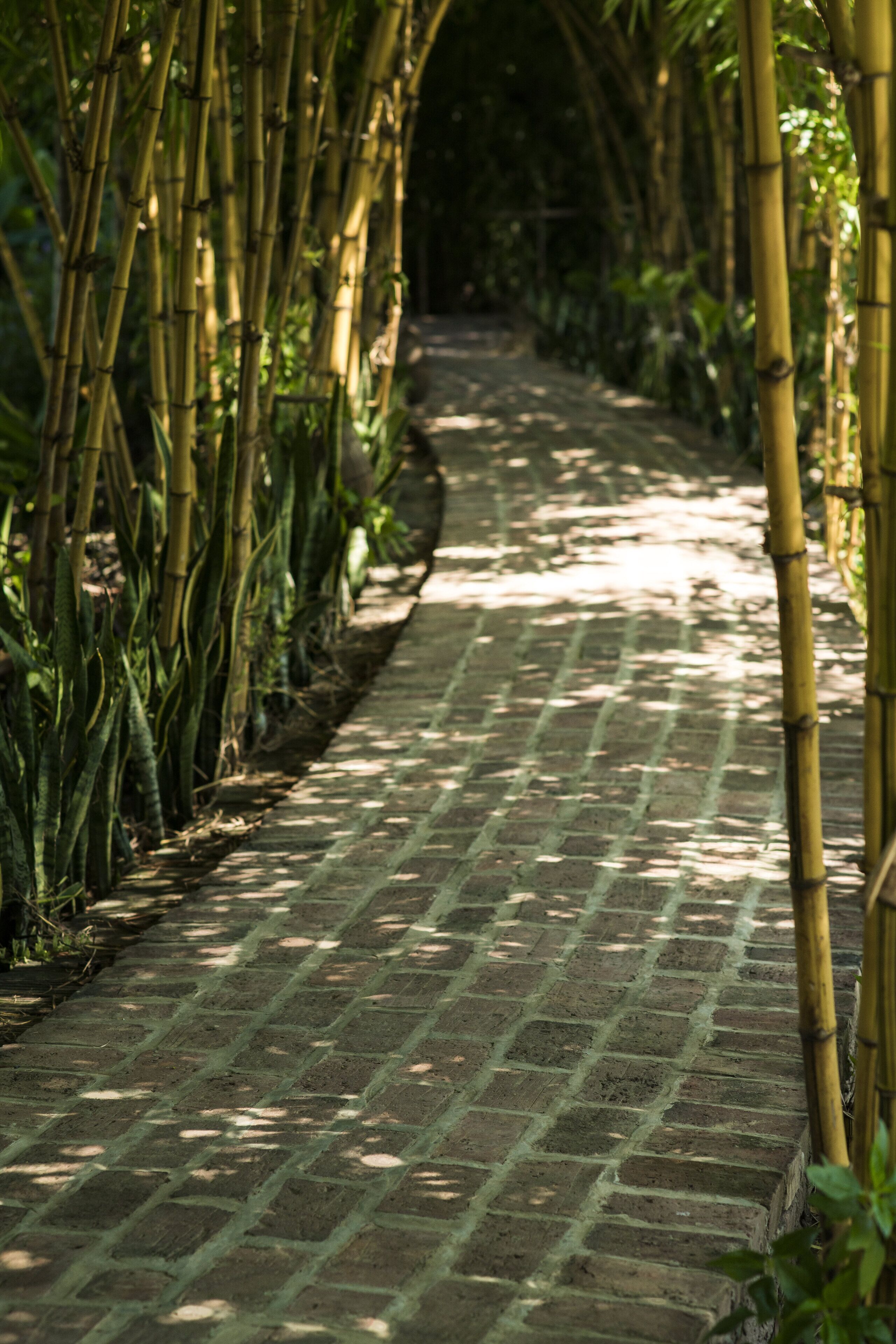 Foto - Tam Coc Garden Resort