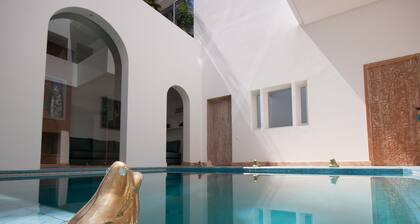 Riad Zyo