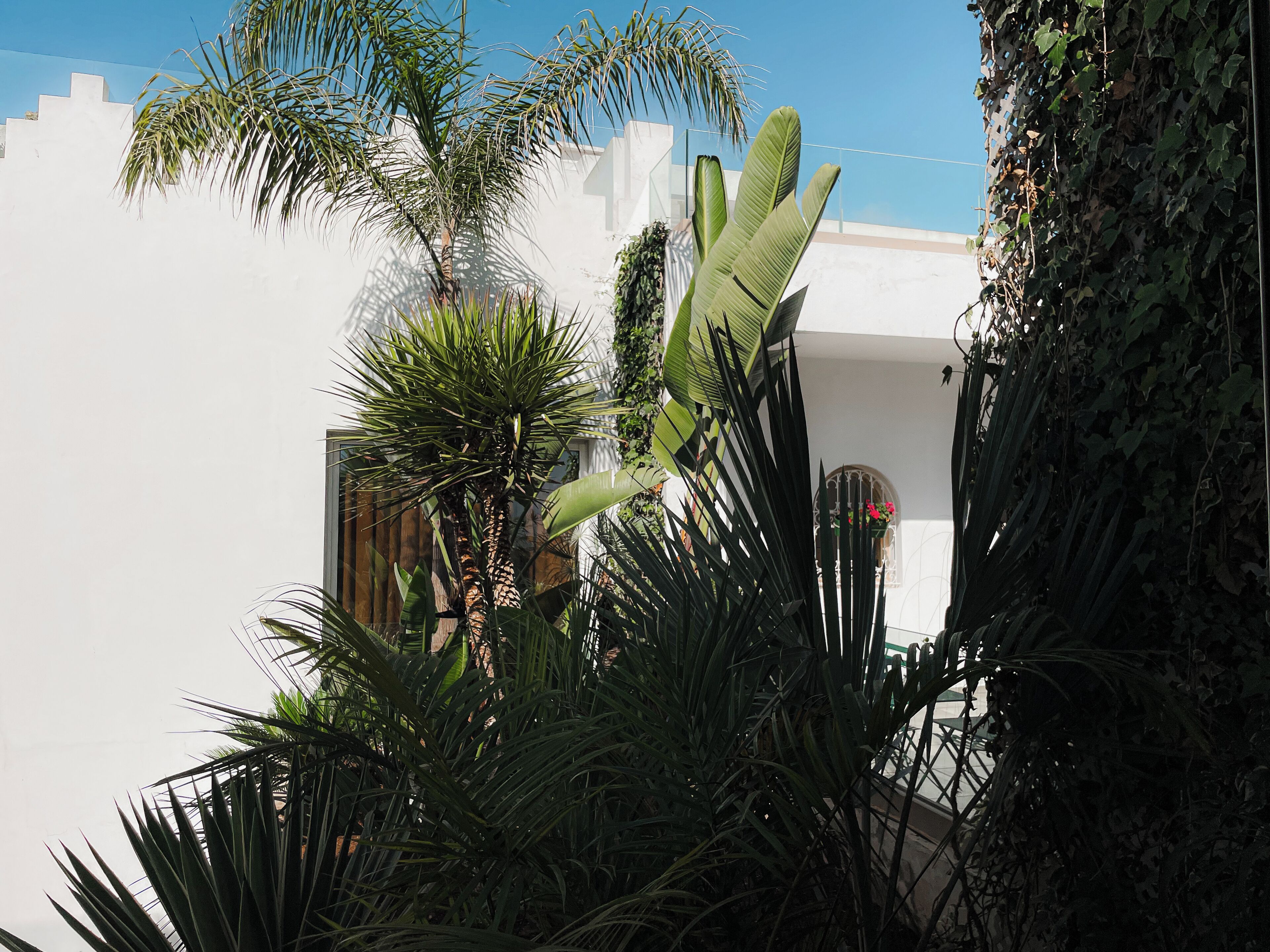 Foto - Riad Zyo
