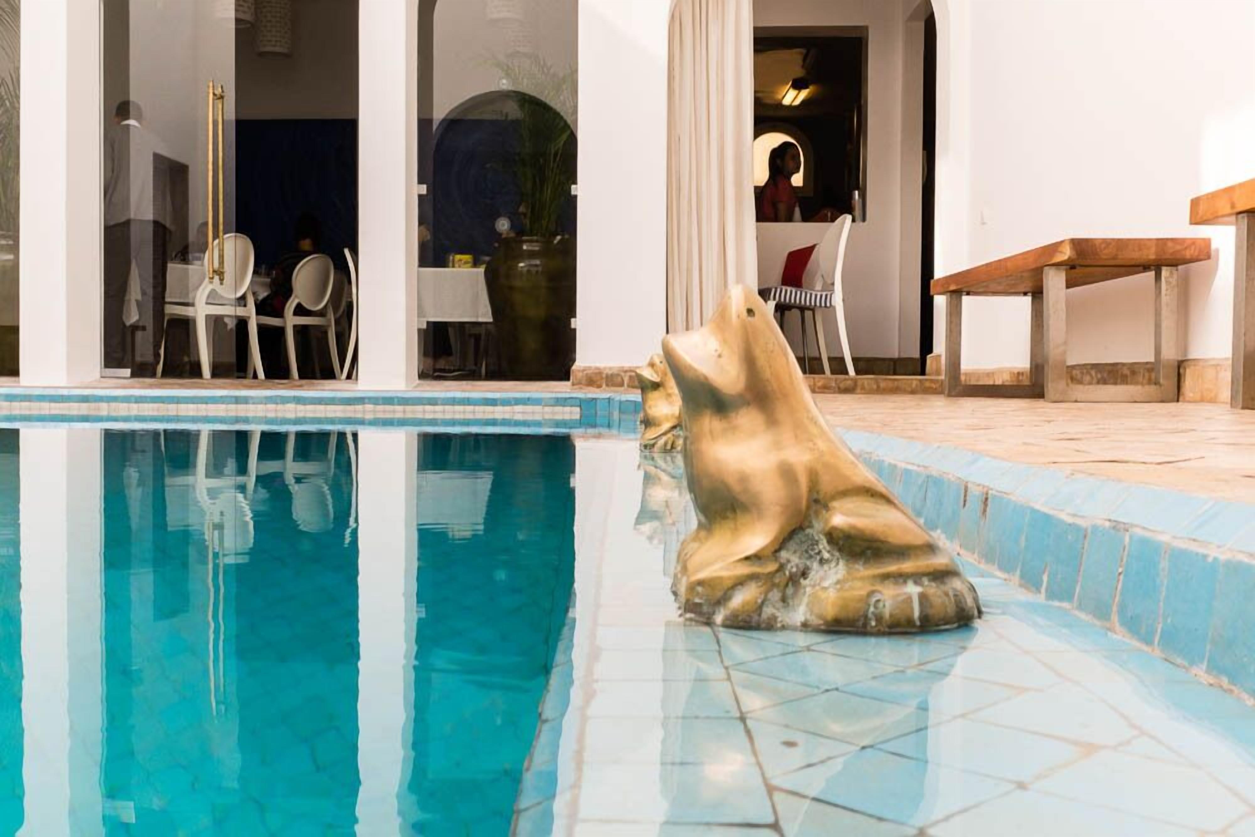 Photo - Riad Zyo