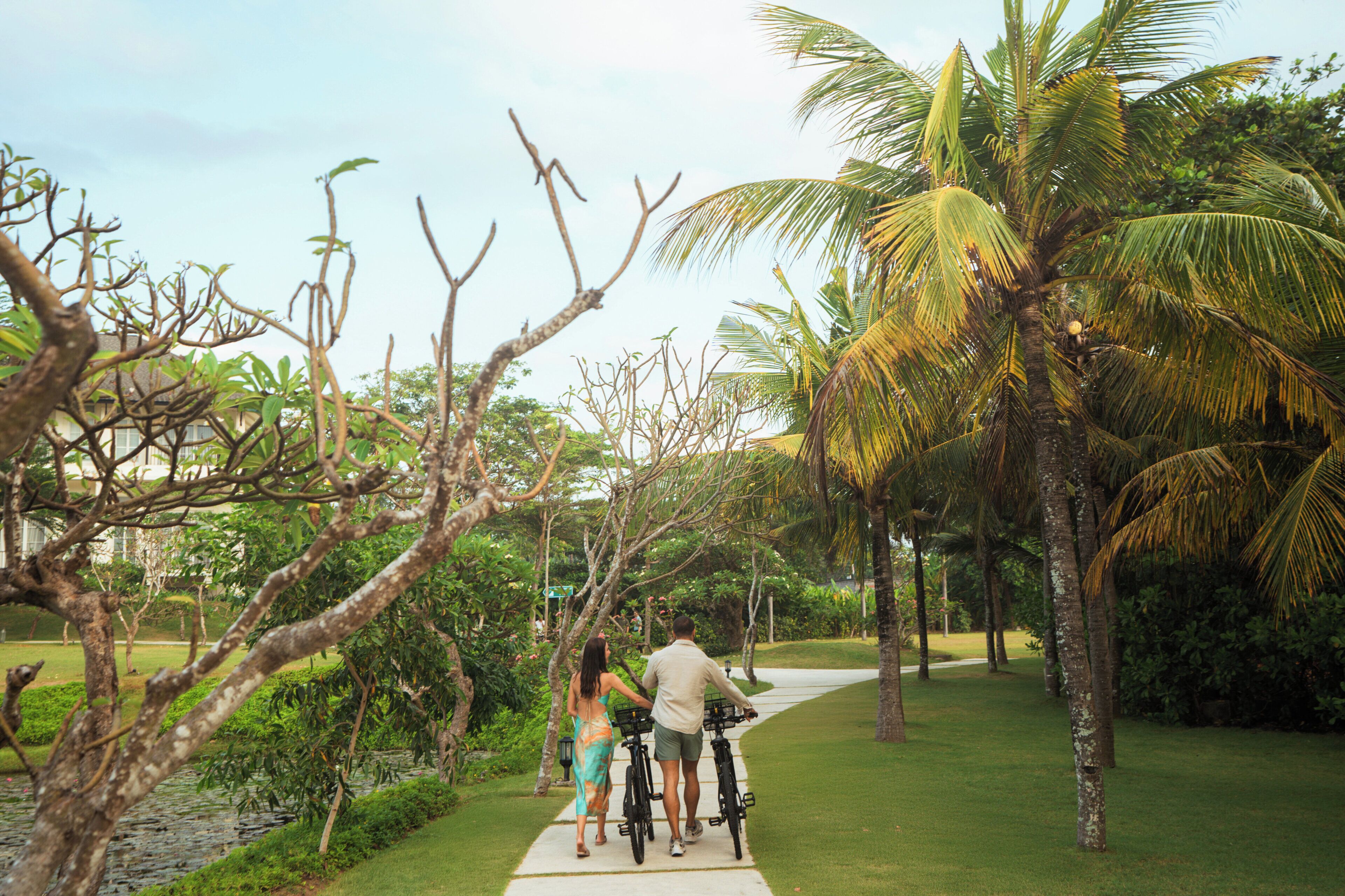 A pathway lined with palm trees and greenery, leading to a building.