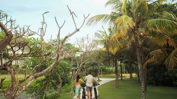 A pathway lined with palm trees and greenery, leading to a building.
