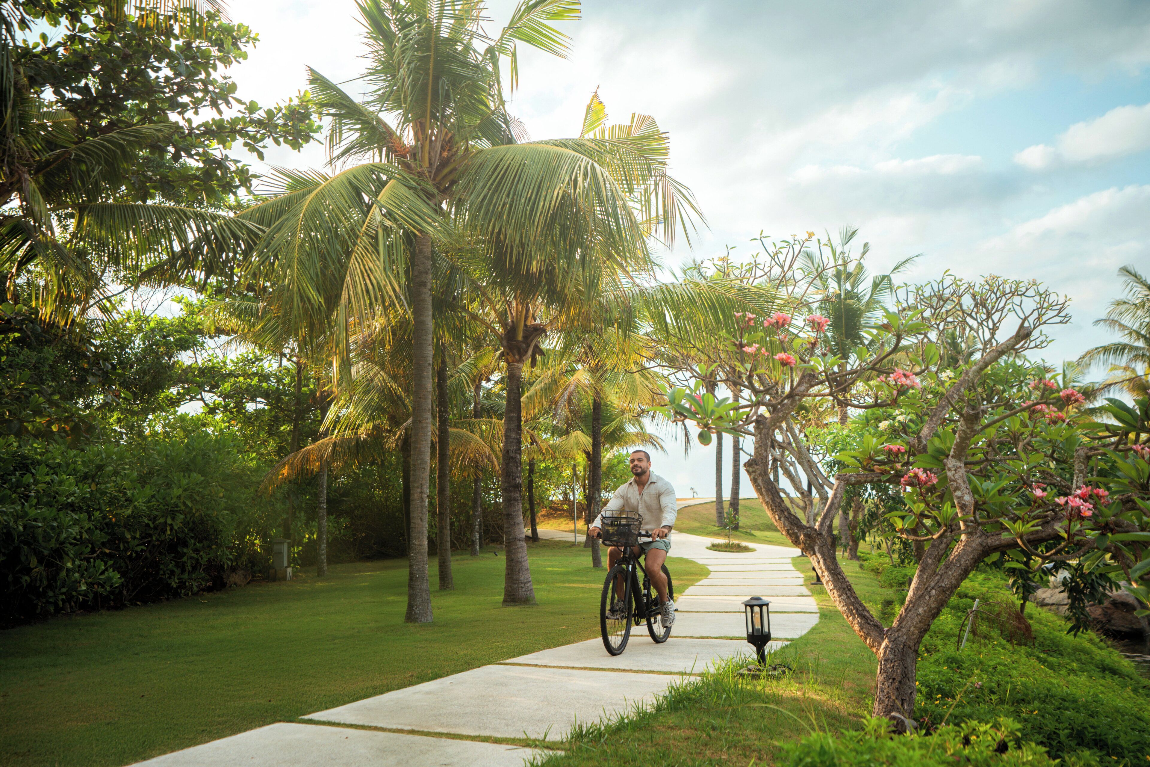 A pathway lined with palm trees and lush greenery, leading to a building.