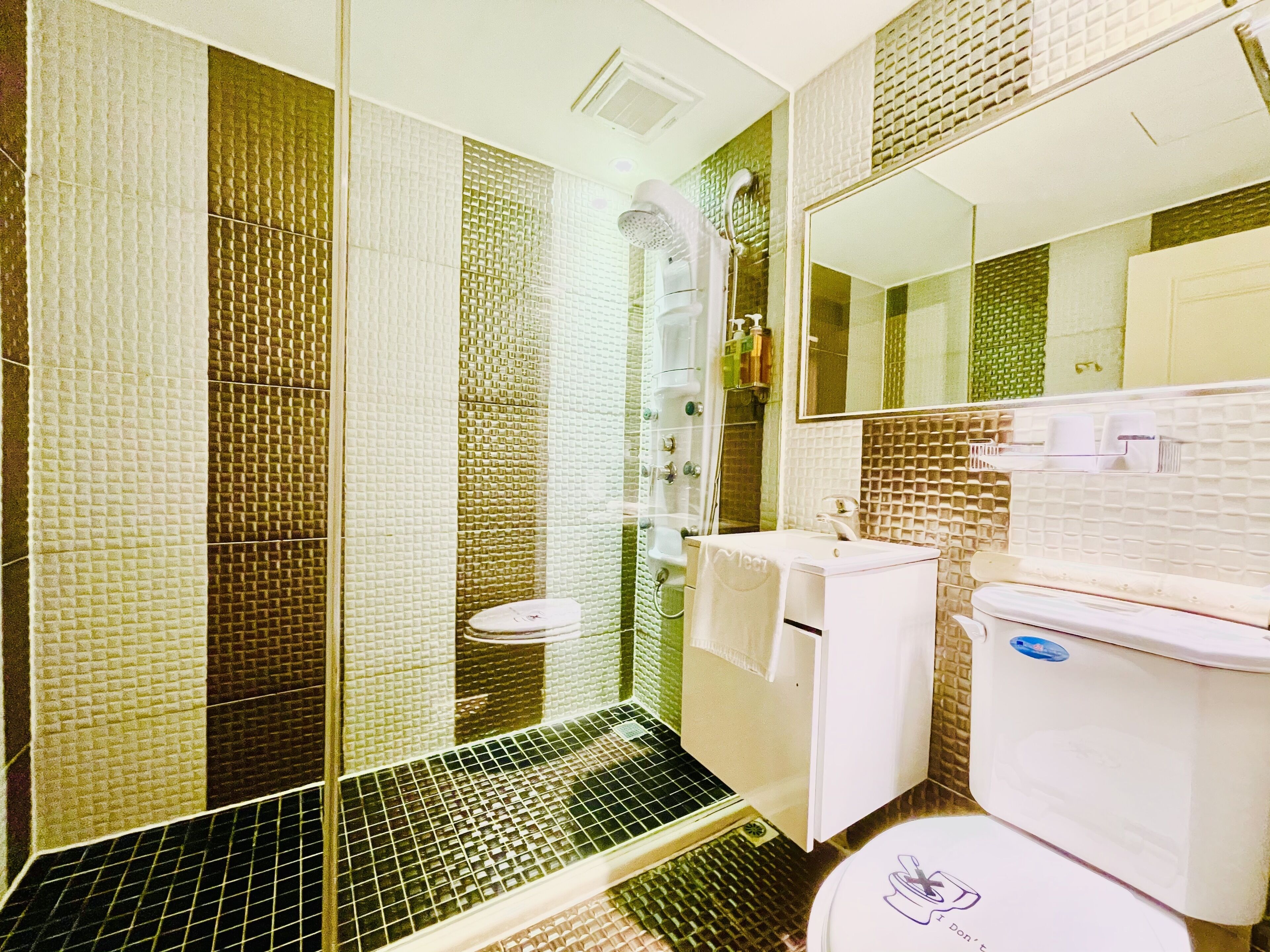 shower, rainfall showerhead, hair dryer, slippers