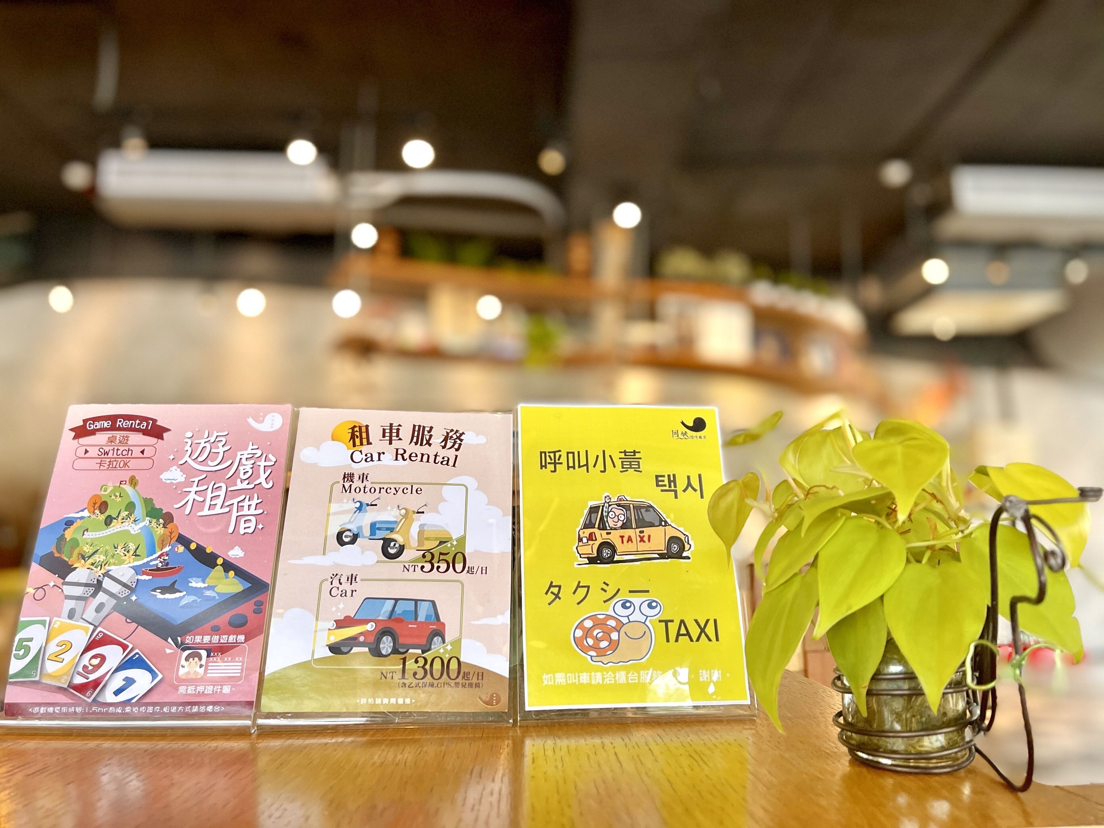 Three rental service cards on a table with a potted plant beside them.