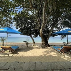 Superior Bungalow, Beachfront | Terrace/patio