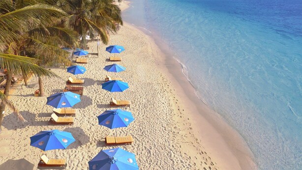 A beach with rows of blue umbrellas and wooden lounge chairs, palm trees, and clear blue water. - Orange Resort (Phu Quoc)