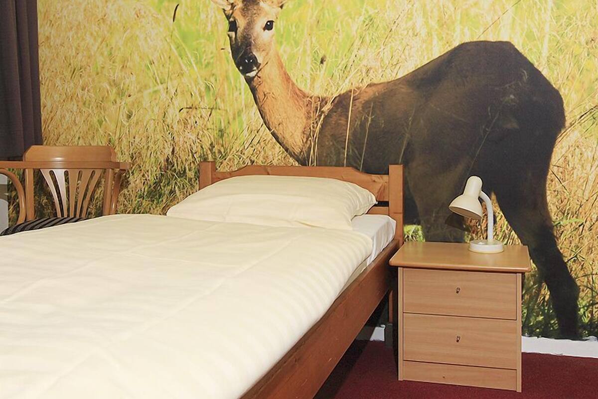 Standard-Einzelzimmer, 1 Doppelbett