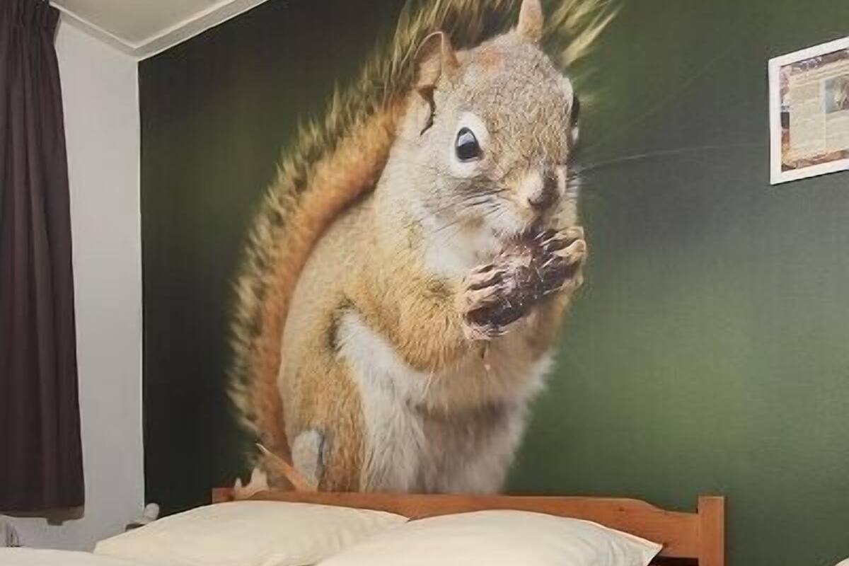 Minibar, kostenloses WLAN, Bettwäsche