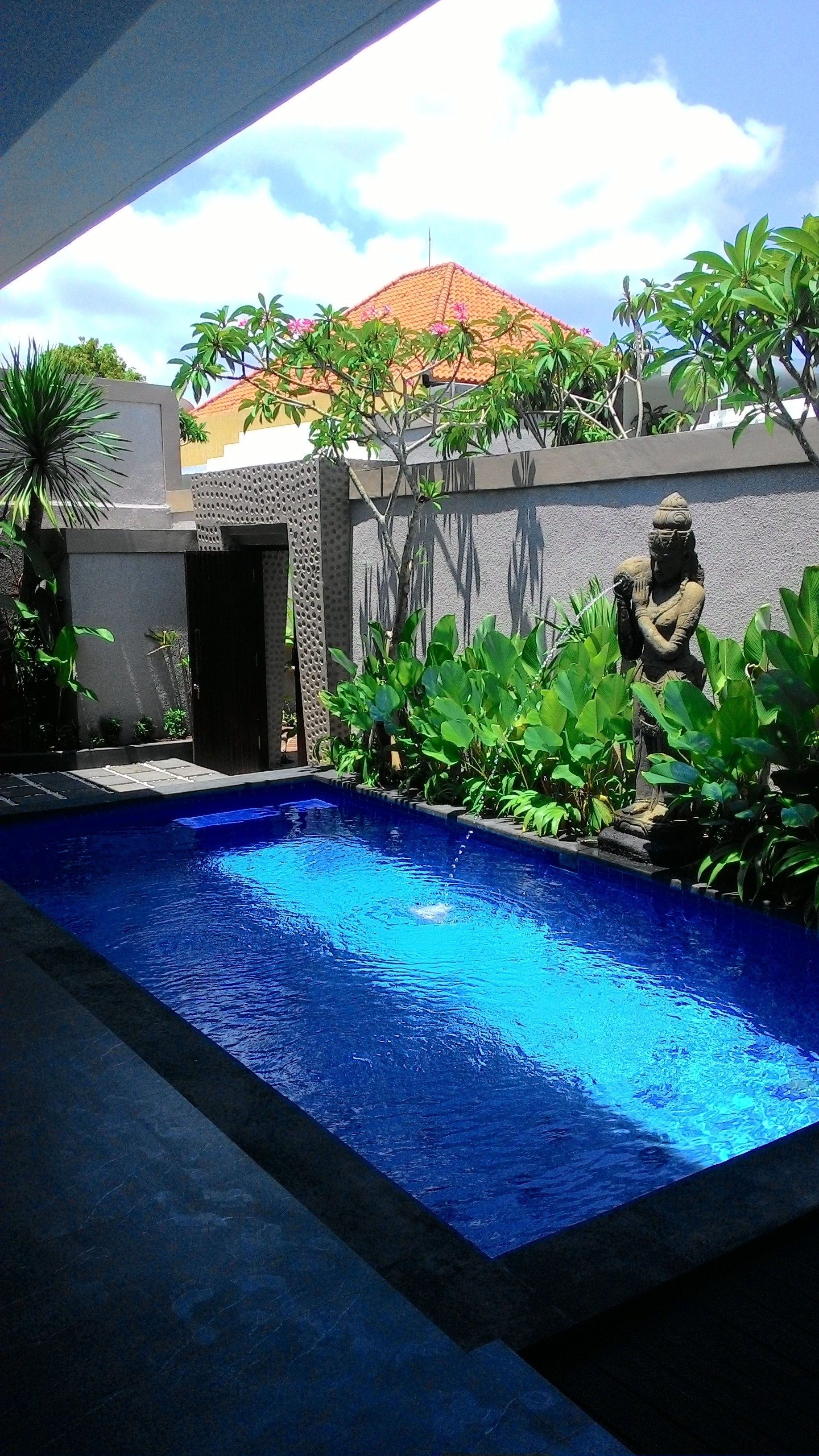 A swimming pool with a stone wall and tropical plants.