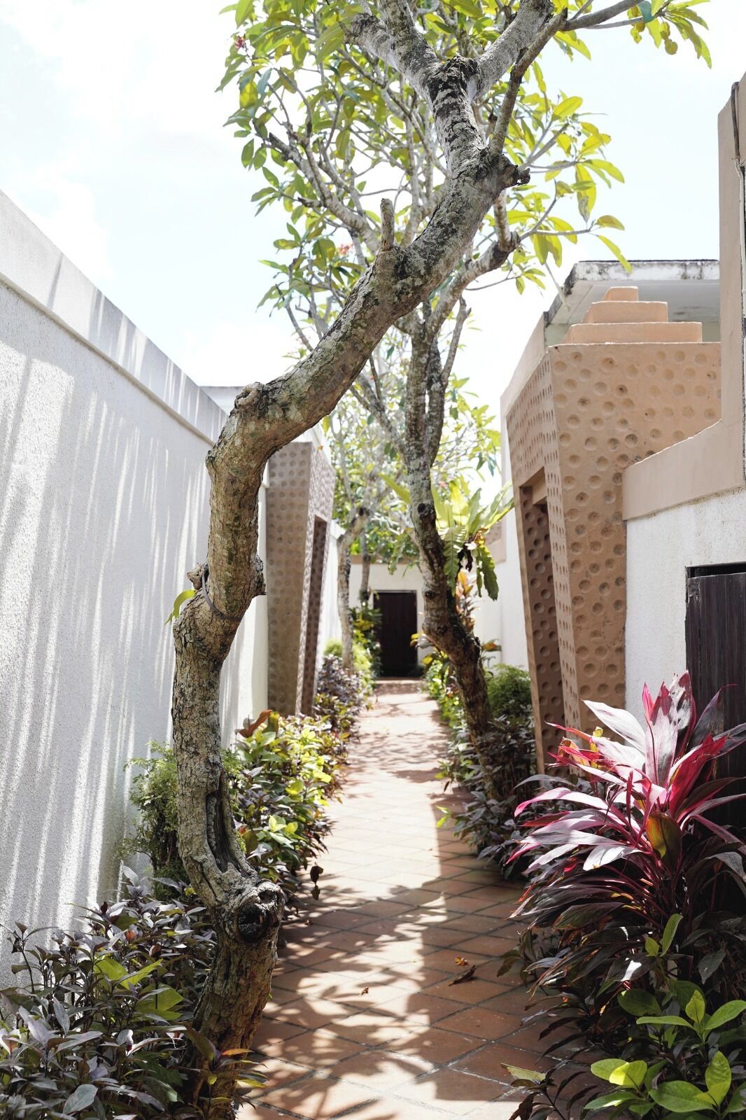 Ngoại thất