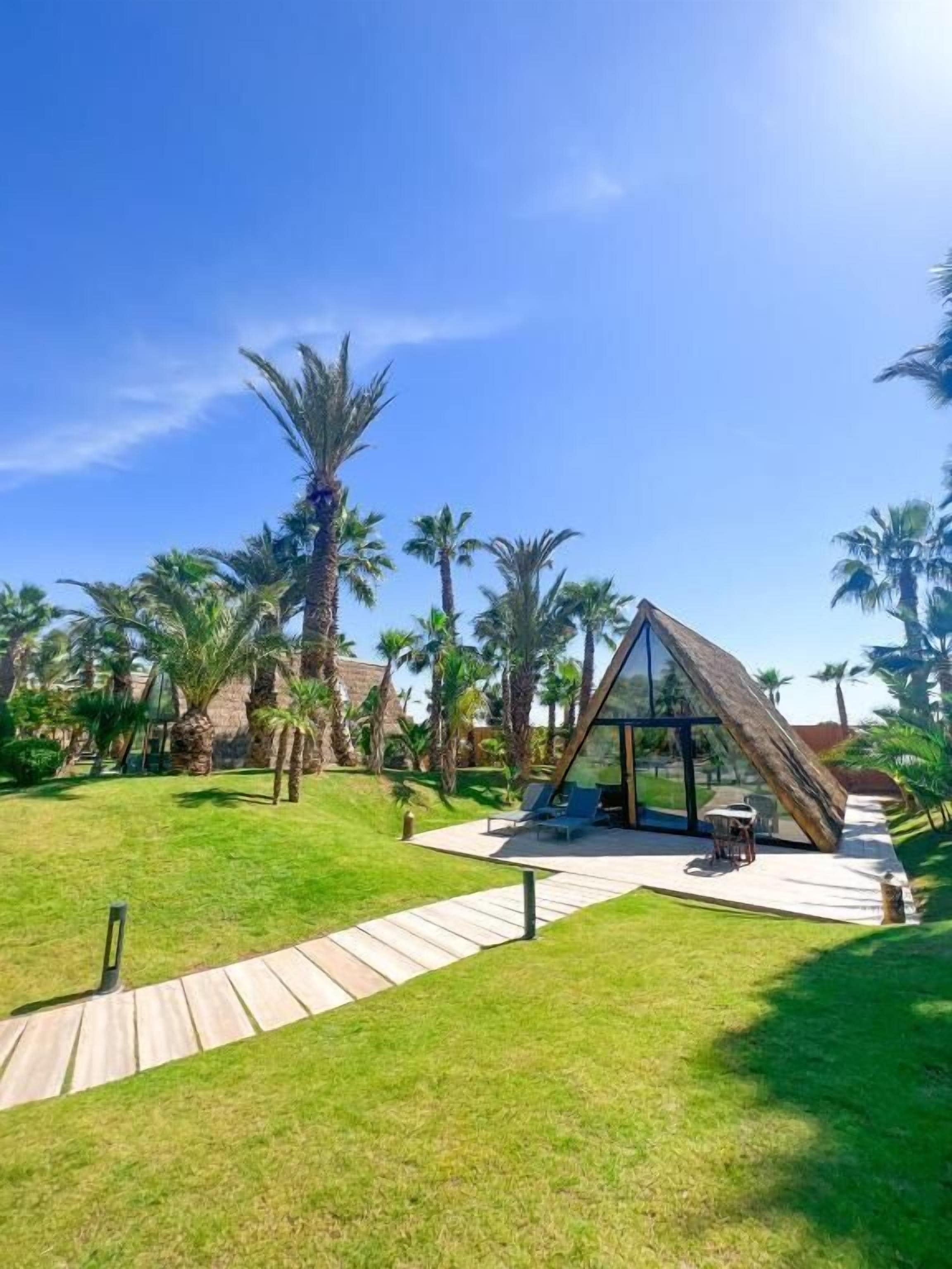 A modern glass house with a wooden deck and lounge chairs, surrounded by palm trees and a clear blue sky.