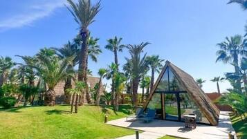 A modern glass house with a wooden deck and lounge chairs, surrounded by palm trees and a clear blue sky.