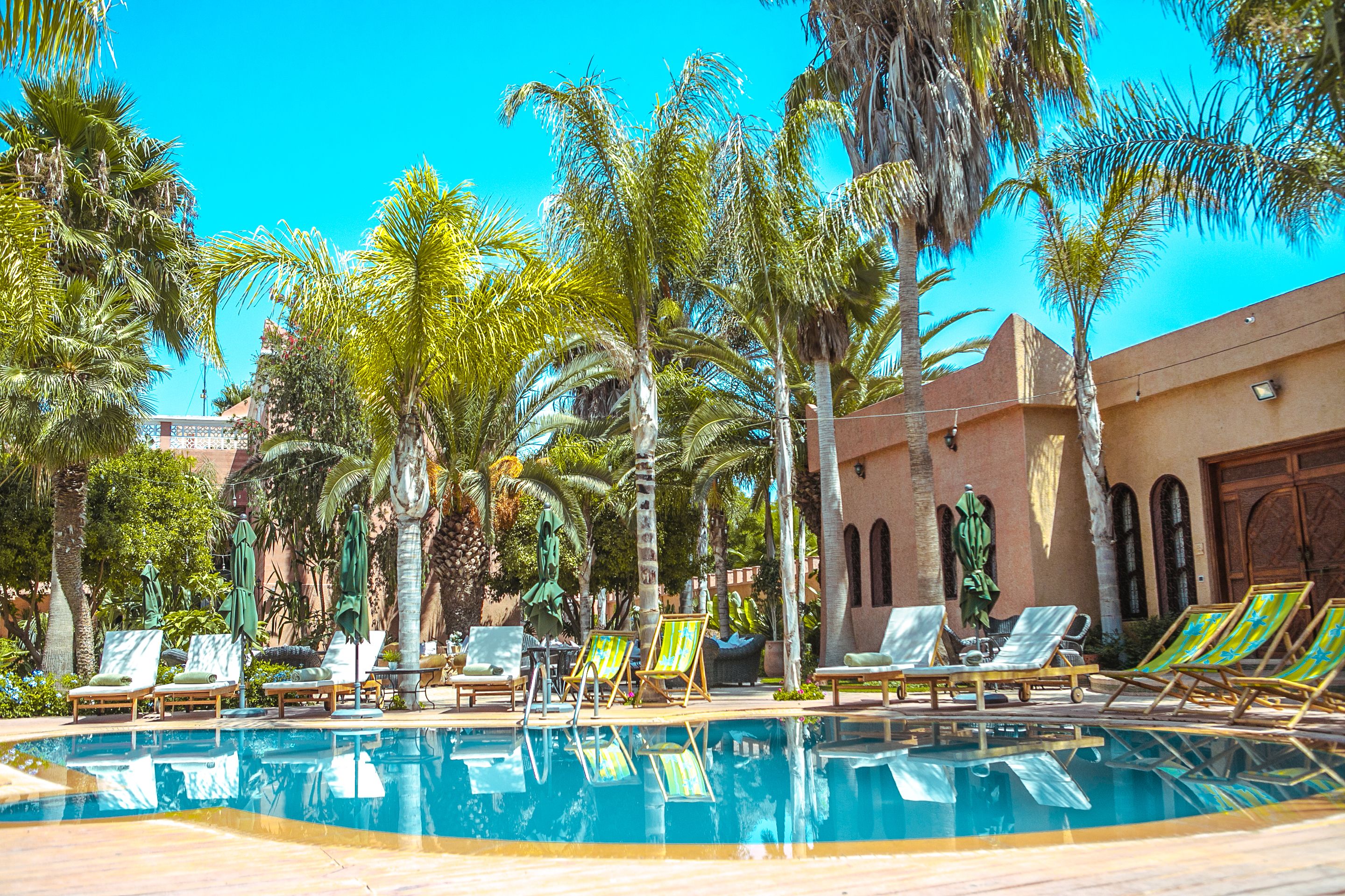 A pool area with lounge chairs and palm trees.