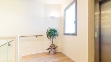 Un couloir avec un plancher en bois, une plante en pot, un luminaire fixé au mur et une porte.