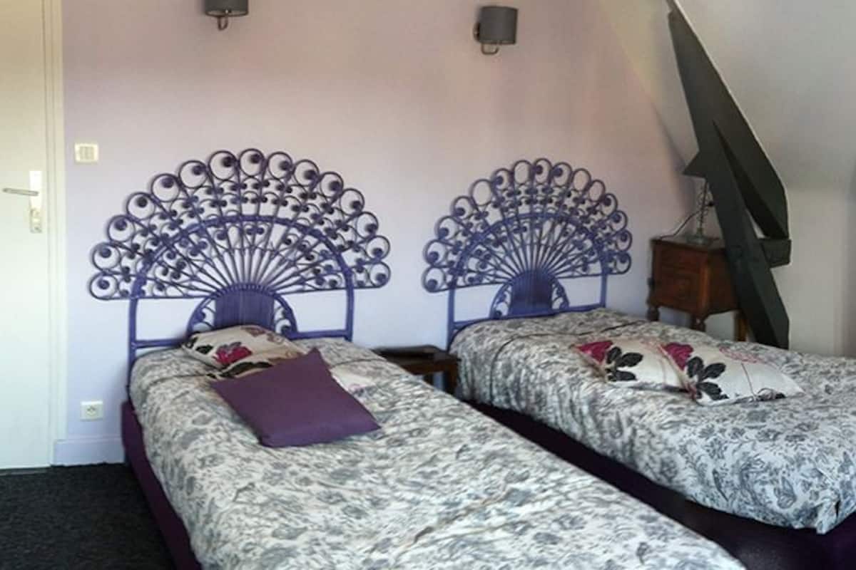 Habitación estándar con 2 camas individuales, baño en la habitación, vista a la ciudad | Escritorio, tabla de planchar con plancha, wifi gratis y ropa de cama