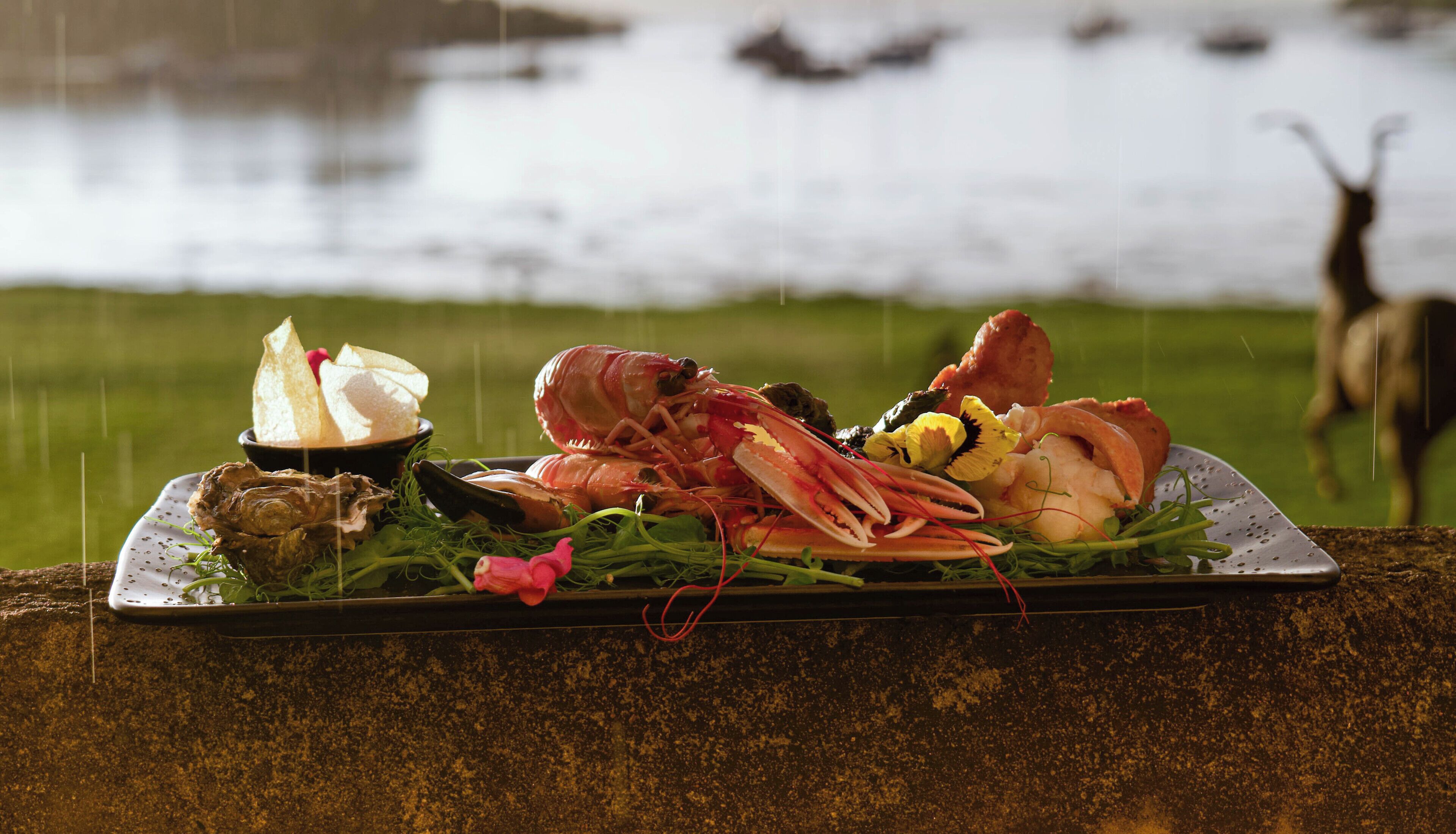 A seafood platter with various shellfish and greens on a plate, set against a rainy backdrop with a blurred view of a body of water and a distant animal.