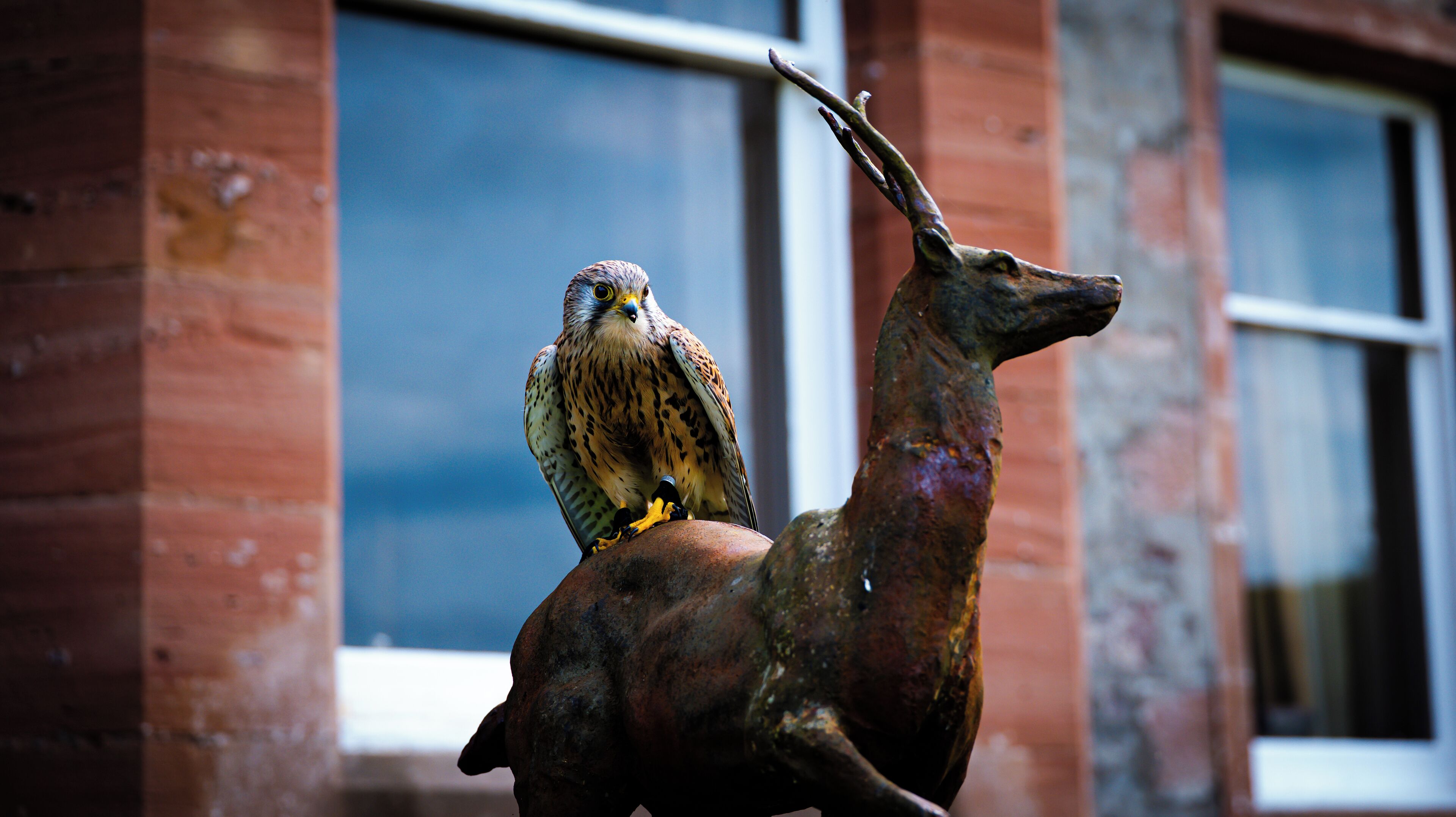 Un oiseau était perché sur une statue.