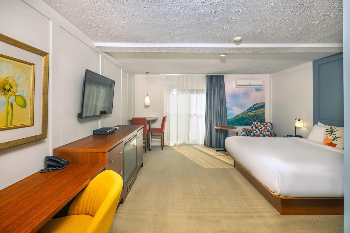 Une chambre d’hôtel avec un lit, un bureau, une chaise, une télévision et un tableau au mur.