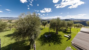 Une vue d’une zone herbeuse, avec des arbres et un ciel bleu dégagé.