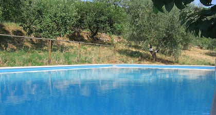 Agriturismo Podere Ficareto