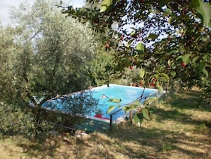 A swimming pool surrounded by trees and greenery. - Agriturismo Podere Ficareto (Sovicille)