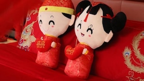 Two plush toys on a red bedspread with embroidered designs. - Wanda Realm Fuyang (Fuyang)