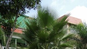 A well-maintained garden with a palm tree, white lounge chairs, and a pool area. - Hotel Cuellar (Tula de Allende)