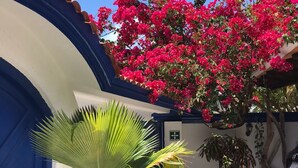 Ein blau-weißes Gebäude mit einem großen, blühenden rosa Baum davor.