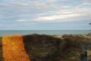Oklassificerad bild, 5 av 33, knapp