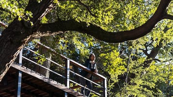 Walk across the bridge into a serene forest setting, surrounded by lush greenery.