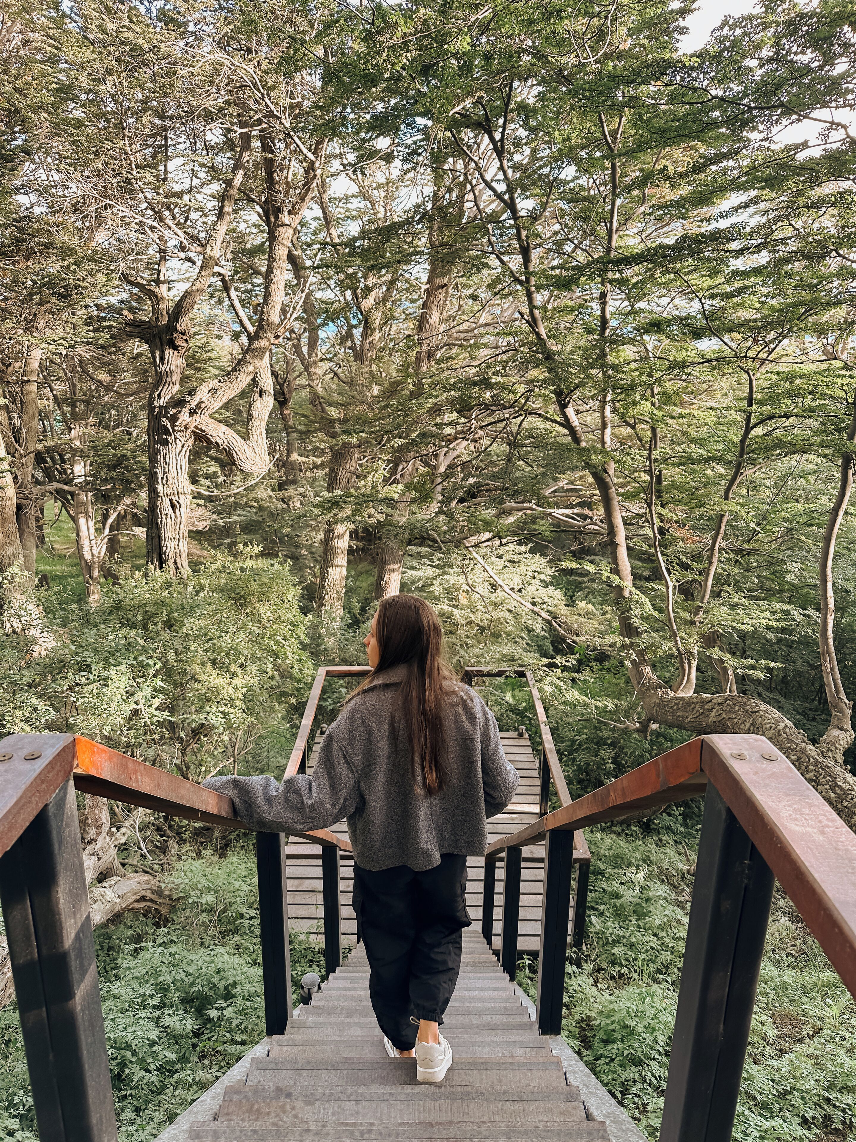 Foto - Los Ñires Ushuaia