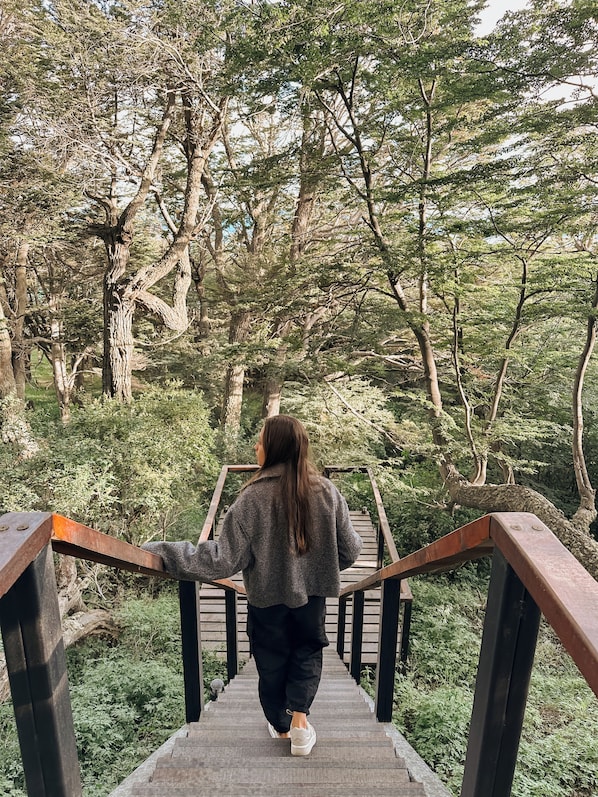 Una persona caminando sobre un puente de madera rodeada de árboles.