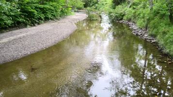 Ein schmaler, natürlich entstandener Wasserlauf, umgeben von dichtem Grün.
