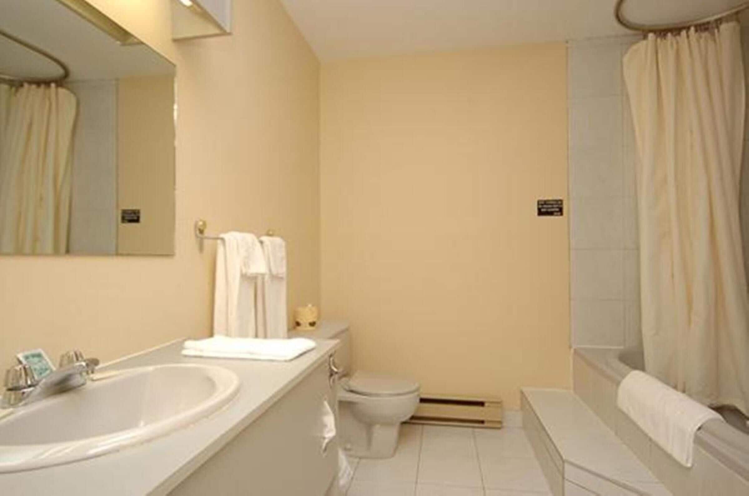 family room, 1 queen bed with sofa bed (hotel) | bathroom | free toiletries, hair dryer, towels