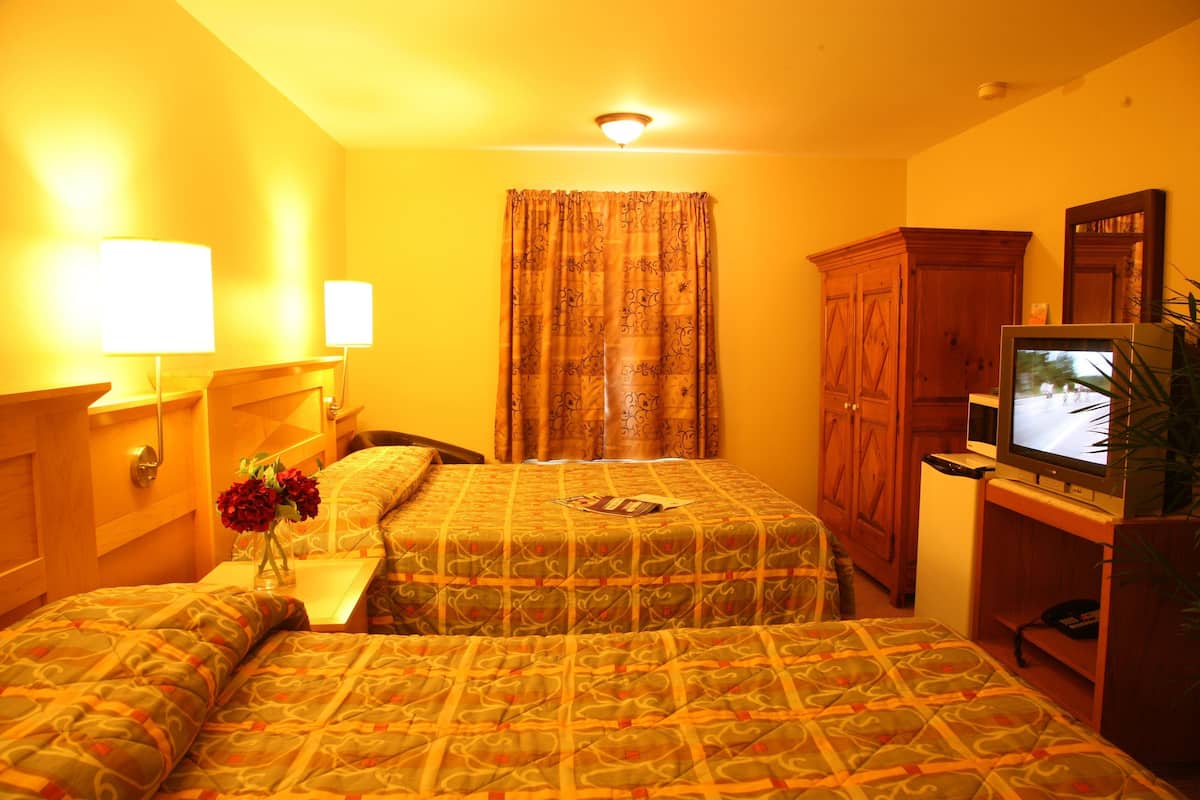 Una habitación de hotel con dos camas, un televisor, un armario y una lámpara en el techo.