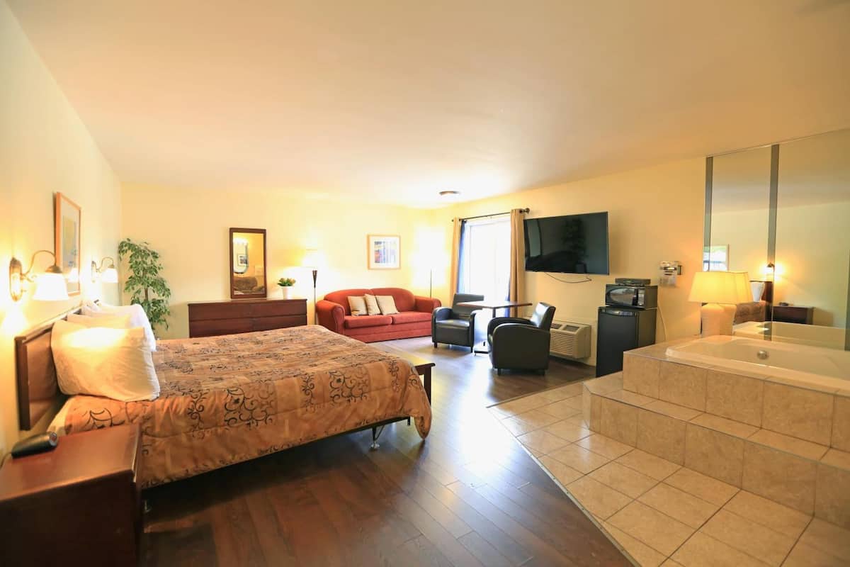 Una habitación de hotel con cama, sofá, sillón, televisor, escritorio, lámpara, planta y bañera.