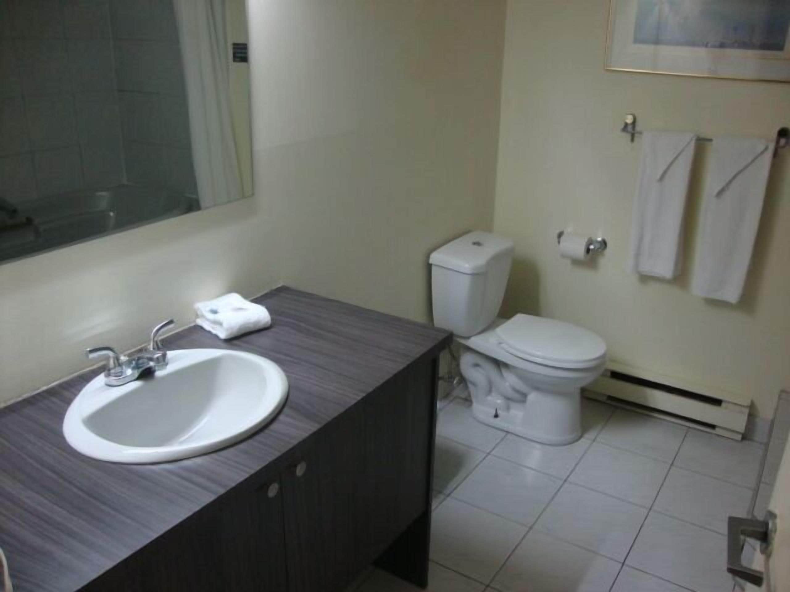 standard room, 1 queen bed, jetted tub (hotel) | bathroom | free toiletries, hair dryer, towels