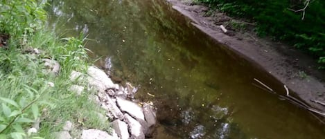 Un cours d’eau naturel, bordé de rochers et de végétation.