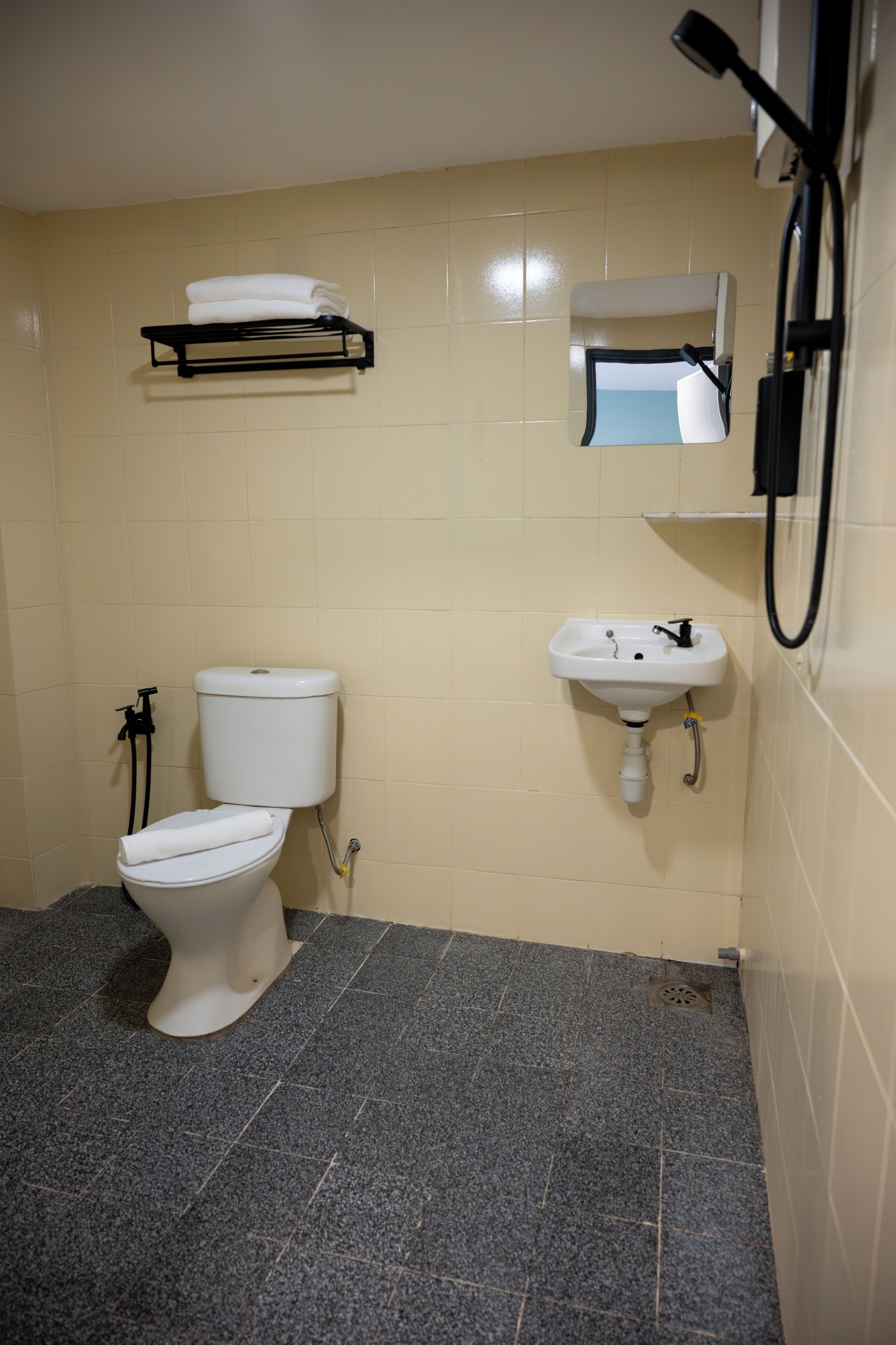 A bathroom with a toilet, sink, and towel rack.